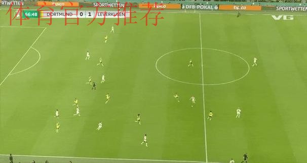 多特0-1勒沃库森无缘德国杯，马扎一击制胜，泰里耶进球被吹
