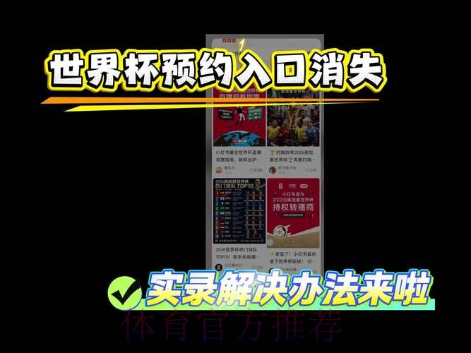 世界杯直播开户入口地址